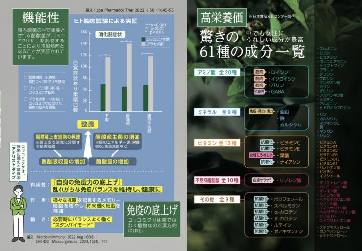 /data/blog/archive/original/28939.jpg