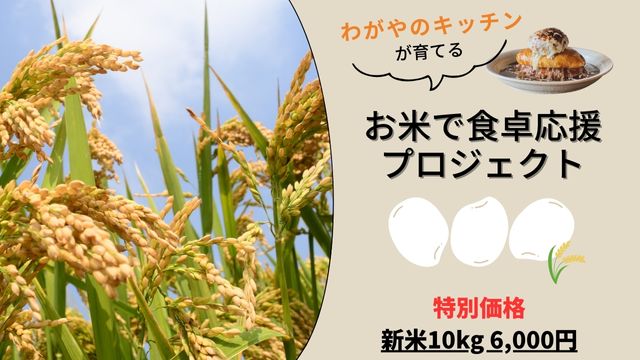募集を開始しました！