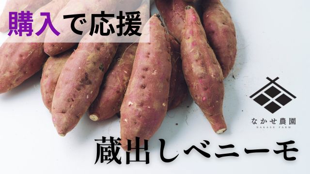 募集を開始いたしました。