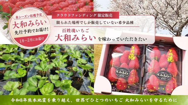 募集開始のお知らせ