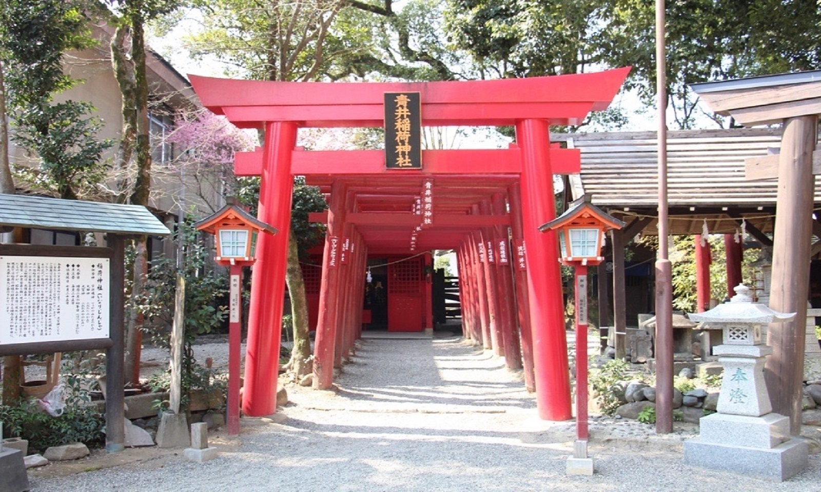 青井阿蘇神社を次の世代へ グローカル クラウドファンディング