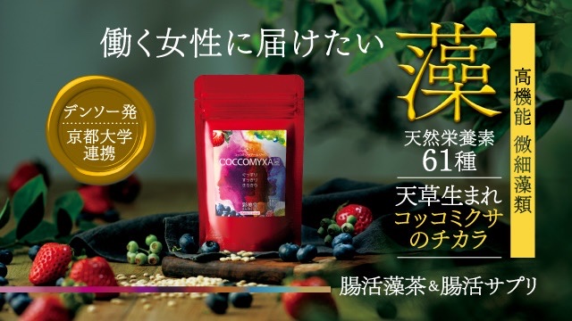 募集を開始しました！応援よろしくお願いします