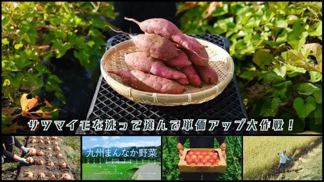 募集を開始いたしました。