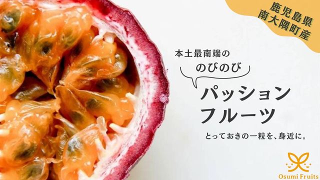 募集を開始いたしました。